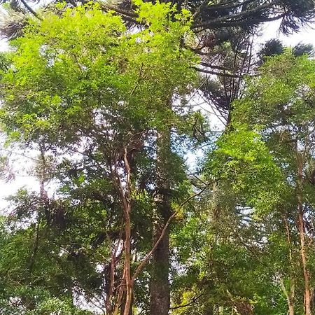 Chacara Rancho Paraiso Piraquara Dış mekan fotoğraf