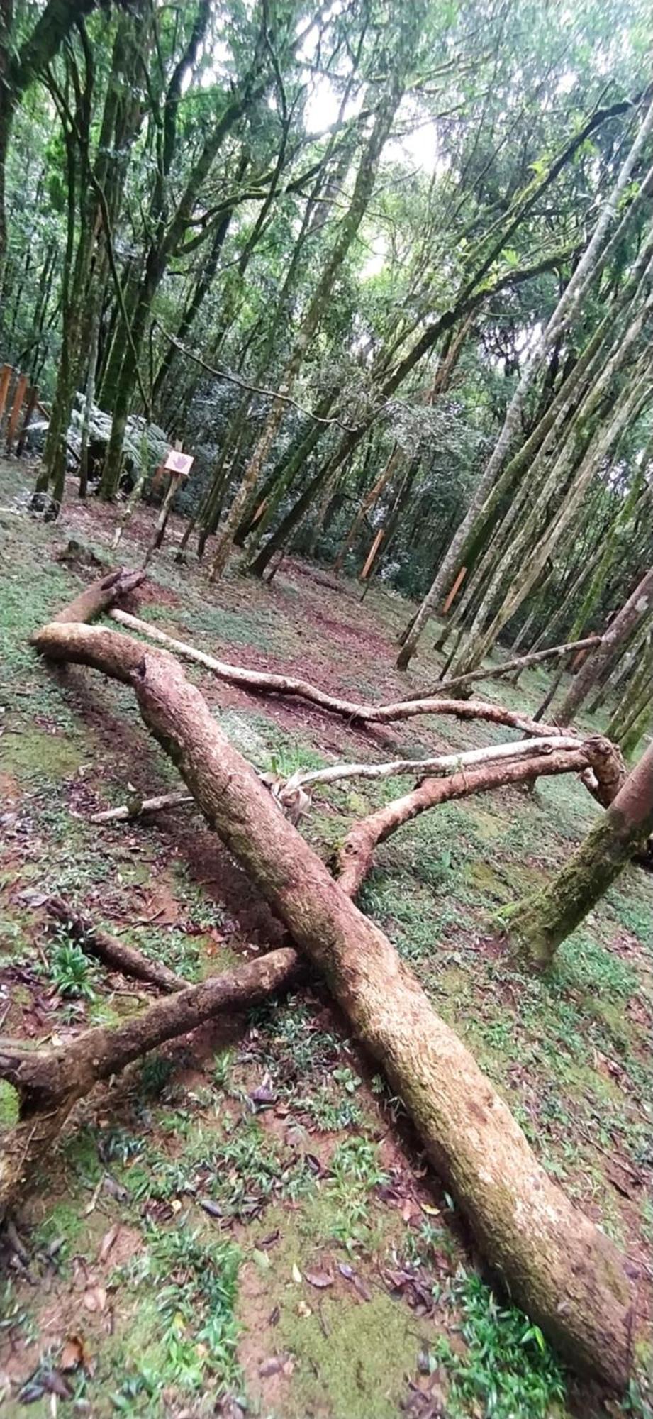 Chacara Rancho Paraiso Piraquara Dış mekan fotoğraf