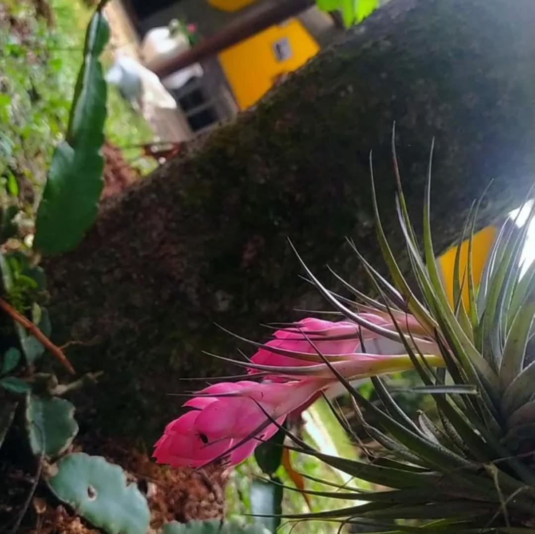 Chacara Rancho Paraiso Piraquara Dış mekan fotoğraf