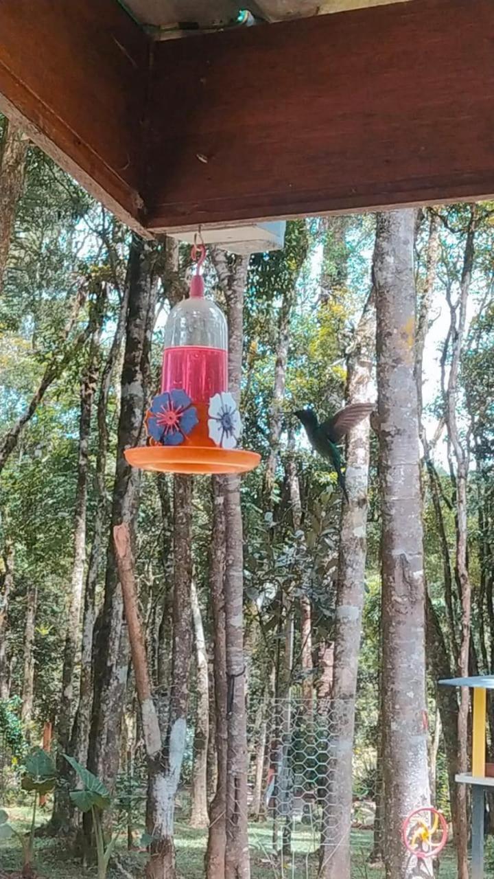 Chacara Rancho Paraiso Piraquara Dış mekan fotoğraf