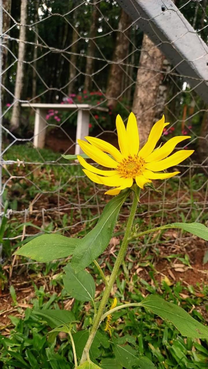 Chacara Rancho Paraiso Piraquara Dış mekan fotoğraf